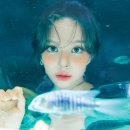 리오컴퍼니 이미지