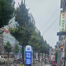 깻잎막회 상남점 | 상남동횟집 상남동회 깻잎막회 상남점 혼자 다녀온 초대박후기