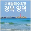 경북 영덕 고래불 해수욕장 차박지 (영리해수욕장)
