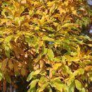 상수리공원 이미지