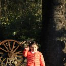 서운농장 이미지