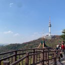 남산 이미지