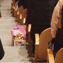 수림화원꽃 이미지