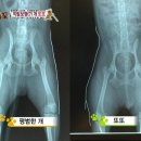 또또농장 이미지