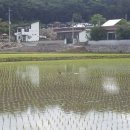 양달마실가든