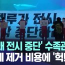 [자막뉴스] '흰고래 전시 중단' 수족관 시위 접착제 제거 비용에 '헉!' (MBC뉴스) 이미지