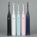 비 식스 Daum카페