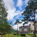 보타닉 당구장 | 평창 인터콘티넨탈 2박3일 [평창 호캉스, 알펜시아 리조트, 강원도 여행]