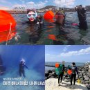 해녀 | 제주 해녀체험 후기 | 고내해양체험에서 뿔소라 30개 잡은 솔직 후기