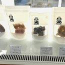 큣페이스 이미지