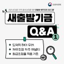 새출발 티스토리