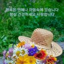 💖 3월 24일 금요일 간추린 아침뉴스 입니다 이미지