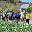 외연도2 이미지