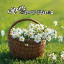 기공체조 이미지
