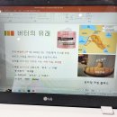 요미당 이미지
