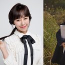 브라보마이라이프