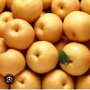 사시사철-풍요 이미지