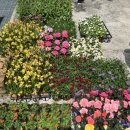 가래골마을 이미지