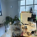 견상낙원 이미지