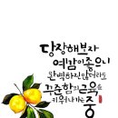 글씨테라피, 캘리그라피 이미지