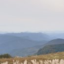 산너미농장 이미지