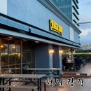 둔산동 정부청사 단체모임 하기 좋은 곳 청사광장