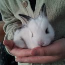 용용농장 이미지