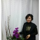 아이비플라워 앞 이미지