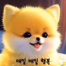 땡