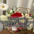 광교상현역꽃집 예쁜꽃다발 꽃바구니 색감맛집 우후후라이프앤플라워