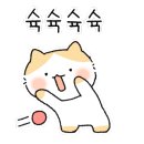 해변상점 - 양양군 광진1길 25 | 해변상점