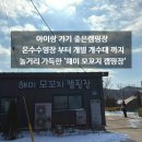 [충남 서산]아이들 놀거리 가득한 서산 키즈캠핑장 &#39;해미 모꼬지 캠핑장&#39; 시설, 요금 ,예약 ,이용후기