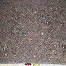 다온농장(2) 이미지