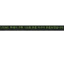 투데이사라 이미지