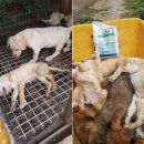 명도농장 이미지