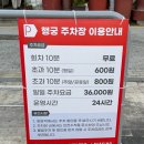 헤어봉주르 | 수원 행리단길 소품샵 추천 봉주르 키티 미피 주차 산리오