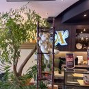 엔제리너스충주성서점 이미지