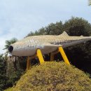 땅끝해양 자연사박물관 이미지