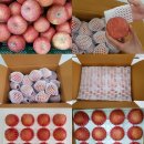 경북사과 저온창고대방출! 착한과일 맛있는 정품 사과 및 사과즙 판매합니다. ^^ 이미지