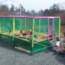 주작산별소리캠핑장 | 주작산 캠핑 주작산 별소리 글램핑&캠핑, 솔직한 방문 평가 — 전남 강진 자연 힐링