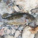 장작골농장 이미지