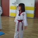 보라매태권도장 이미지