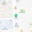 전주강아지분양 미니퍼피 가정견사 직영 이미지