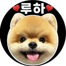 구월동 김밥 포장 맛집, 롤더판다김밥 솔직 후기 (판다김밥이 시그니처!)