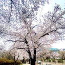 한산2교 네이버블로그