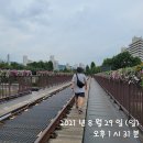 창동교 화장실 이미지