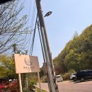 별후가온 | 문경 캠핑장 추천 별하숲캠핑장 B구역 시설 후기