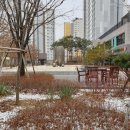 옥합결혼 이미지