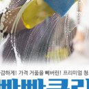 빡빡청소