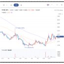 자이에스앤디(주) 이미지